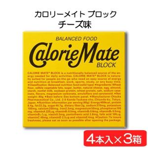 大塚製薬 送料無料 カロリーメイト ブロック チョコレート 4本×20箱