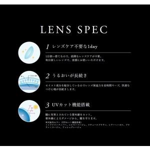 ラヴェール ワンデー 10枚入 ×3箱 度あり...の詳細画像1