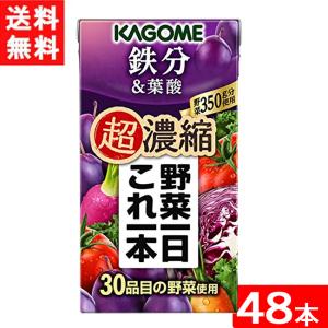 カゴメ 野菜一日これ一本 超濃縮 鉄分＆葉酸 125ml 2ケース 48本 送料無料｜eyeshine