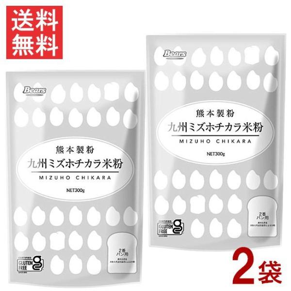 熊本製粉 九州 ミズホチカラ 米粉 300g×2袋 グルテンフリー 九州産 ミズホチカラ100%
