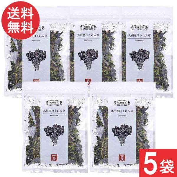 吉良食品 乾燥野菜 九州産 ほうれん草 40g×5袋 送料無料
