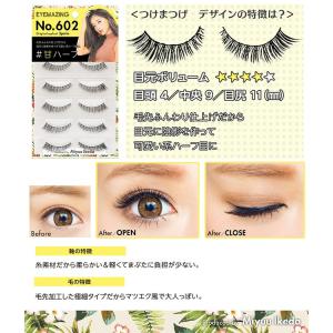 EYEMAZING アイメイジング No.60...の詳細画像2