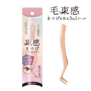 ディーアップ(D.U.P) アイラッシュ パーフェクトツイーザー ( 1