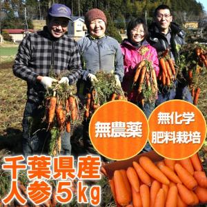 【クール便】無農薬人参５ｋｇ（千葉県産 ジュース用 規格外）【送料無料】（有機栽培 無農薬 無化学肥料栽培 にんじんジュース サイズ無選別 訳あり人参）