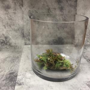 ガラスベース ガラス製 フラワーベース 花器 花瓶 メダカ鉢 めだか鉢 水筒 テラリウム 多肉植物 かわいい おしゃれ インテリア