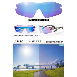 【レンズのみ】ZYGOSPEC ジゴスペック ...の詳細画像3