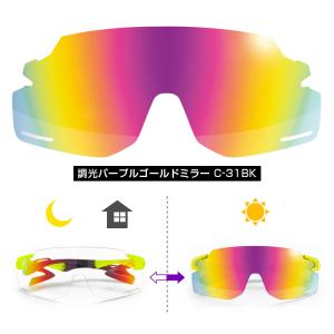 【レンズのみ】ZYGOSPEC ジゴスペック ...の詳細画像3