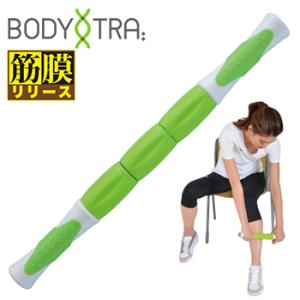 ストレッチポール（StretchPole） アシスティック（Assistick