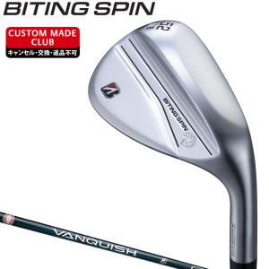 Titleist（タイトリスト） タイトリスト日本正規品 T200アイアン