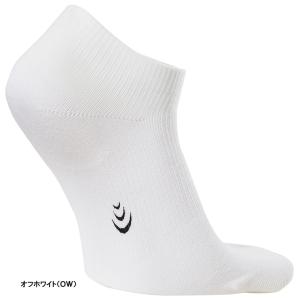 Goldwin ゴールドウィン 日本正規品 C...の詳細画像2