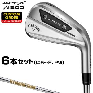 Callaway APEX MB 5〜P 6本セットDG S200（キャロウェイ APEX CB