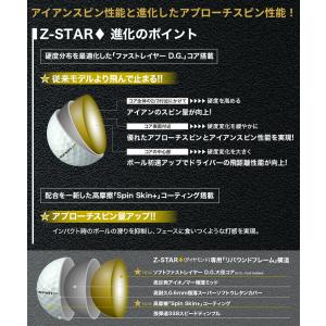 DUNLOP ダンロップ 日本正規品 SRIX...の詳細画像3