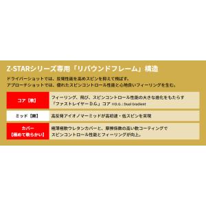 DUNLOP ダンロップ 日本正規品 SRIX...の詳細画像5
