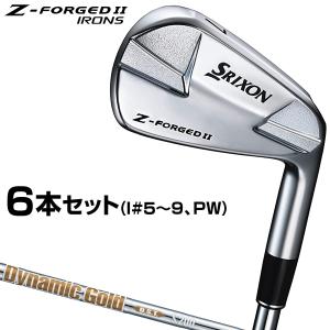 Titleist（タイトリスト） 日本正規品 T100 アイアン スチールシャフト