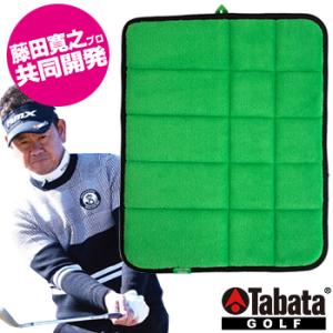 Tabata タバタ日本正規品 藤田タッチマット(寄せワンアプローチ)