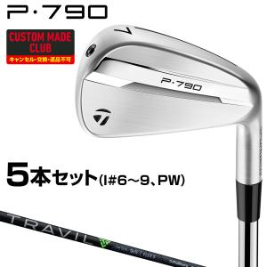 TaylorMade（テーラーメイド） P790アイアン ダイナミックゴールドEX