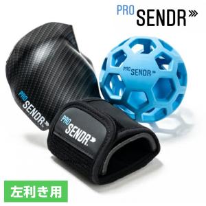 ヤマニゴルフ ProSENDR 左利き用の買取情報