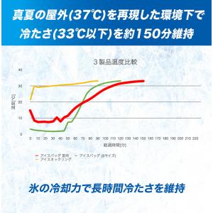 ZAMST ザムスト 正規品 アイスバッグ 首...の詳細画像3