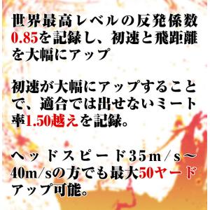ワークスゴルフ 飛匠(ひしょう) レッドラベル...の詳細画像3