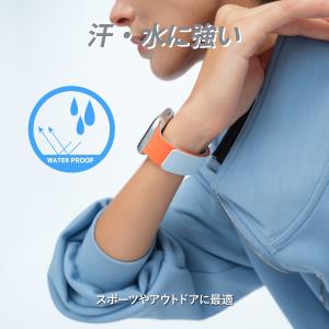 MOFT Snap Duo Watch Ban...の詳細画像4