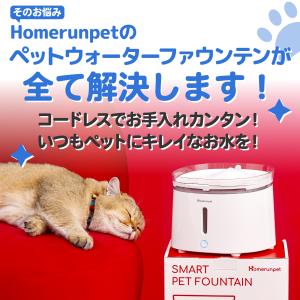 Homerunpet ペットウォーターファウン...の詳細画像2
