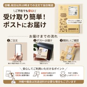 ホタテ貝柱 ソフト ほたて 帆立 貝柱 炙り ...の詳細画像5