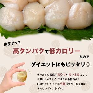 干し貝柱 ホタテ貝柱 北海道産 ホタテ 帆立 ...の詳細画像5