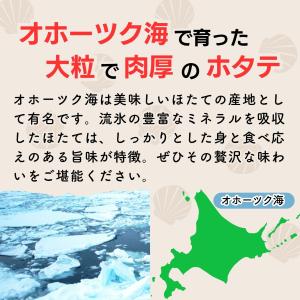 干し貝柱 ホタテ貝柱 北海道産 ホタテ 帆立 ...の詳細画像3