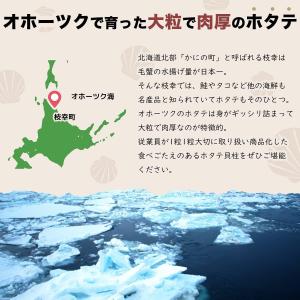 干し貝柱 ホタテ貝柱 北海道産 ホタテ 帆立 ...の詳細画像3
