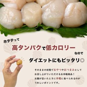 干し貝柱 ホタテ貝柱 北海道産 ホタテ 帆立 ...の詳細画像5