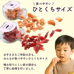 鮭とば 干し貝柱 ホタテ貝柱 ギフトセット ホ...の詳細画像1