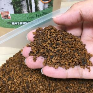 チャーガ茶 カバノアナタケ茶 北海道産 キノコ...の詳細画像3