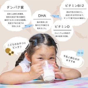 鮭とば 北海道産 さけとば 皮無し 100g ...の詳細画像3
