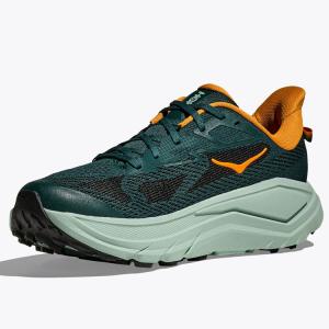 ホカ HOKA チャレンジャー 8 CHALL...の詳細画像2