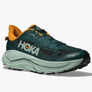 ホカ HOKA チャレンジャー 8 CHALL...の詳細画像5