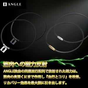 医療機器 アングル e.モデル 01 ネックレ...の詳細画像1