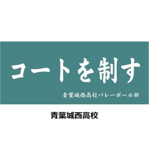 ハイキュー 公式グッズ 横断幕 スポーツタオル...の詳細画像3