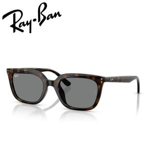 Ray-Ban（レイバン） 正規保証書(押印)付 Ray-Ban 4439D ( Low Bridge