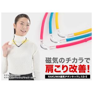 ファイテン RAKUWA磁気チタンネックレスS...の詳細画像2