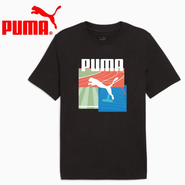メール便送料無料 プーマ GRAPHICS サマースポーツ Tシャツ 2 627946-01 メンズ