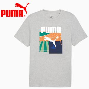 プーマ GRAPHICS サマースポーツ Tシャツ 2 627946-04 メンズの商品画像