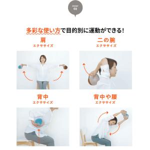 数量限定品 ミズノ MIZUNO ダンベルボー...の詳細画像4