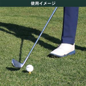 タバタ ゴルフ プラスリム ショートティー G...の詳細画像3