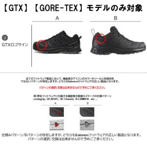 サロモン XA PRO 3D V9 GTX L...の詳細画像2