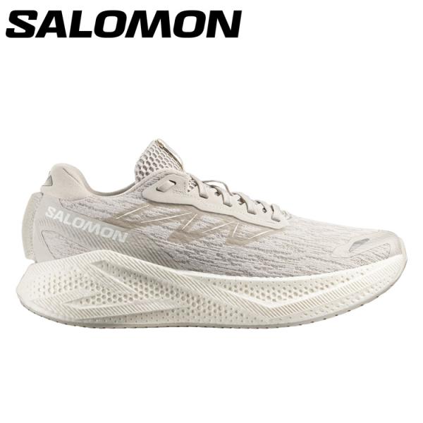 サロモン AERO GLIDE 4 L49147200 メンズシューズ