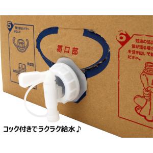 メーカー直送 SANWA 微酸性電解次亜塩素酸...の詳細画像1