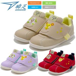 瞬足 SYUNSOKU シューズ SJB0980 JB-098 キッズ ジュニア いないいないばあっ モデル 瞬足足育 2025SPCOUPON 返品不可