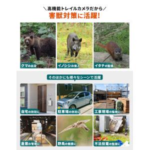 防犯カメラ 屋外 トレイルカメラ 監視カメラ ...の詳細画像5