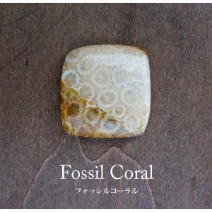 フォッシルコーラル（化石珊瑚）アフリカ産 約26×26×6mm 天然石 ルース