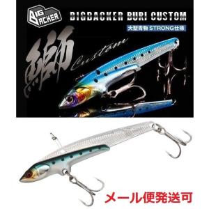 JACKALL（ジャッカル） ビッグバッカー 107 鰤カスタム アルミブルピン